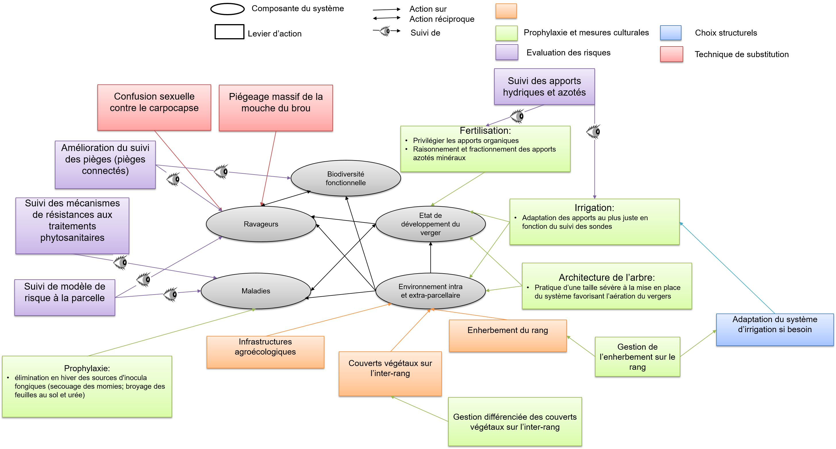 Schéma du système de culture Sys'NOIX Franquette