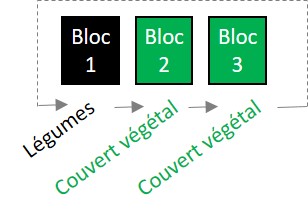 Assolement (année n). Les flèches indiquent le nouvel emplacement des cultures en année n+1.