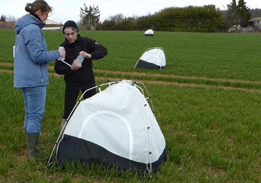 Dispositif tentes à émergence