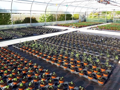 Tunnel Astredhor Sud-Ouest HORTIPOT 2