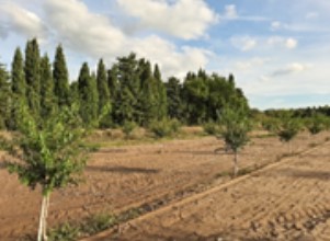 verger de référence