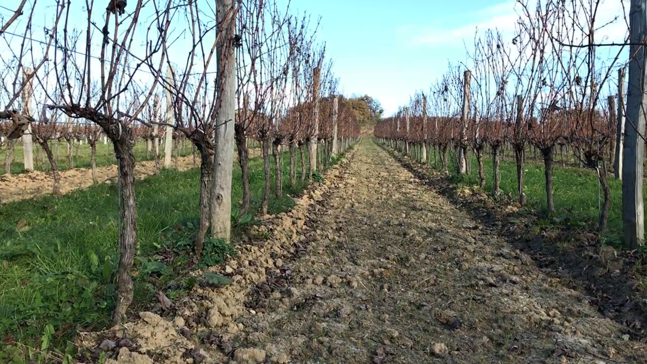 Gestion des sols de Thomas Fonteyreaud en 2020