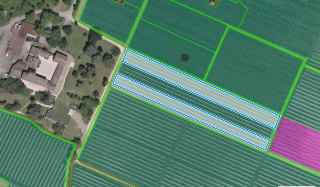 Parcelle du haut = ESSAI / Parcelle du bas = TEMOIN