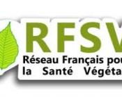 Séminaire RFSV : Invasions biologiques et crises sanitaires, leurs conséquences pour la surveillance et le diagnostic phytosanitaires