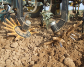 Pratiquer le désherbage mécanique sur le rang - Bineuse à doigts ou moulinets