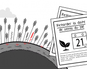 Mettre en oeuvre des leviers agronomiques pour le désherbage