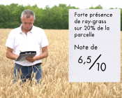 Evaluer l'enherbement de sa parcelle avant récolte