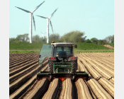 Pratiquer le désherbage thermique en interculture