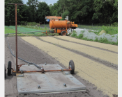 Désinfection du sol à la vapeur en cultures légumières