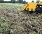 Alternatives au glyphosate pour la destruction des prairies