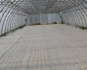 Désinfection du sol par la solarisation en cultures légumières