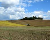 Alternatives au glyphosate pour le nettoyage des parcelles reverdies avant semis de la culture suivante
