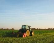 Broyer les couverts végétaux d'interculture