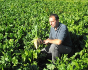 Gestion des adventices par combinaison de leviers agronomiques et de désherbage mécanique