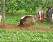 Pratiquer le désherbage mécanique en verger