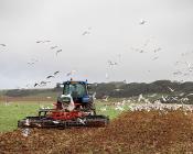 Réaliser un travail du sol superficiel après la récolte