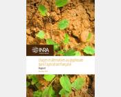 Usages et alternatives au glyphosate dans l'agriculture française: usage du glyphosate en Arboriculture