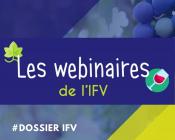 webinaire ifv
