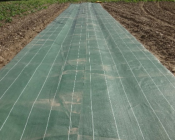 Occultation avec toile hors sol (CA Gard)