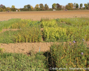 Essais Casdar raid - Stéphane Cordeau