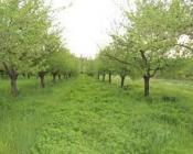 Crédit : verdeterreprod.fr