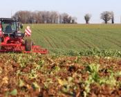 Le déchaumage en alternative à la chimie  Crédit : Entraid'