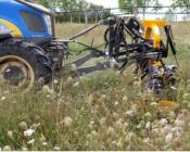 Alternatives au glyphosate pour l'entretien sous le rang des noyers