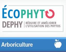 Colloque National DEPHY Arboriculture