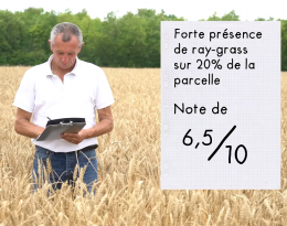 Evaluer l'enherbement de sa parcelle avant récolte