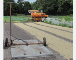 Désinfection du sol à la vapeur en cultures légumières