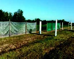 Filets anti-dérive : évaluation de leur efficacité