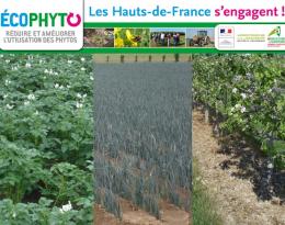 Fiches d'aide à la compréhension des modèles de prévision des risques