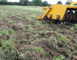 Alternatives au glyphosate pour la destruction des prairies