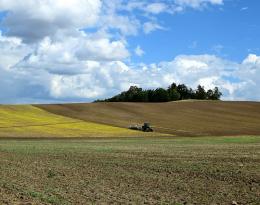 Alternatives au glyphosate pour le nettoyage des parcelles reverdies avant semis de la culture suivante