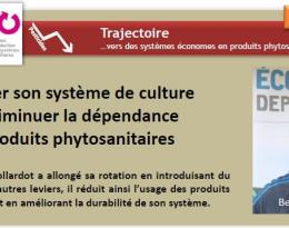 Réduire ses intrants en maintenant une production de qualité sur un parcellaire morcelé et en partie sensible à l’oïdium