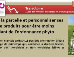 Vignes: un système de conduite cohérent pour réduire les IFT