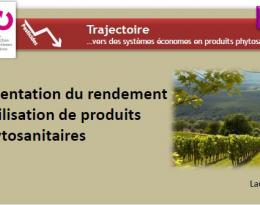 Concilier augmentation du rendement et faible utilisation de produits phytosanitaires
