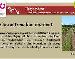 Limiter ses intrants au bon moment