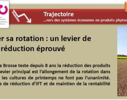 Vers une conduite durable du vignoble