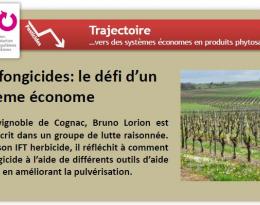 Diminuer les fongicides: le défi d’un système économe