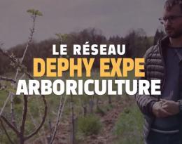 Réseau DEPHY EXPE 2018-2024 dans la filière arboriculture