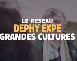 Réseau DEPHY EXPE 2018-2024 dans la filière grandes cultures