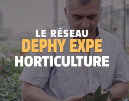 Réseau DEPHY EXPE 2018-2024 dans la filière horticulture