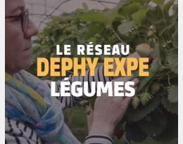 Vidéo du réseau DEPHY EXPE 2018-2024 dans la filière légumes