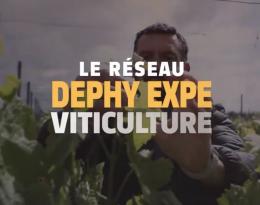 Réseau DEPHY EXPE 2018-2024 dans la filière viticulture