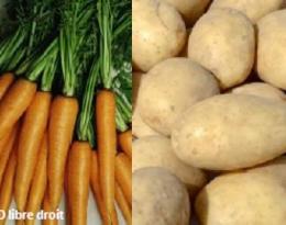 Dans les systèmes de culture avec cultures industrielles du nord de la France, mettre fin aux traitements systématiques et combiner les techniques alternatives pour réduire les charges