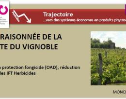 Gestion raisonnée de la conduite du vignoble