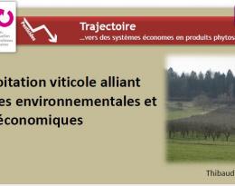 Une exploitation viticole alliant performances environnementales et économiques