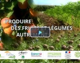 Produire des fruits et légumes autrement