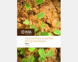 Usages et alternatives au glyphosate dans l'agriculture française: usage du glyphosate en Arboriculture
